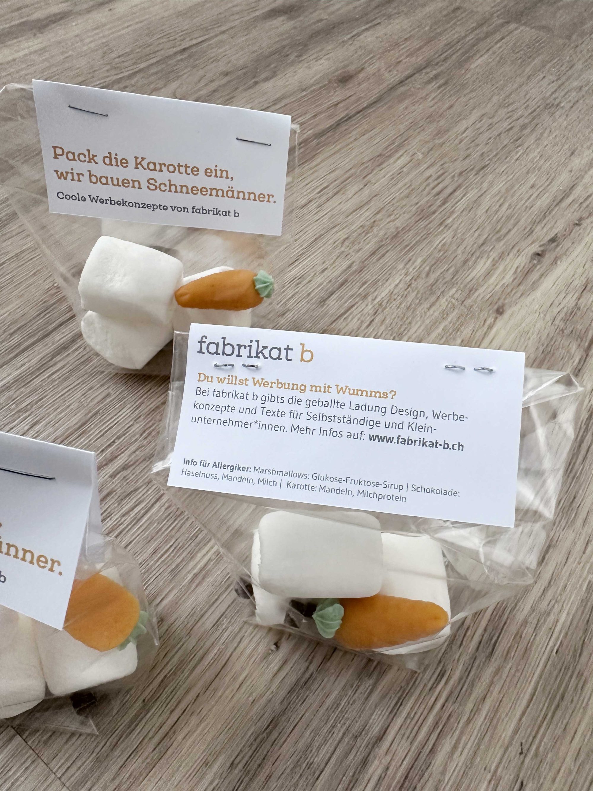 Schneemann-Werbeaktion_Rueckseite_rgb